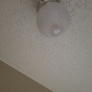 Meet your Posher, Gloria